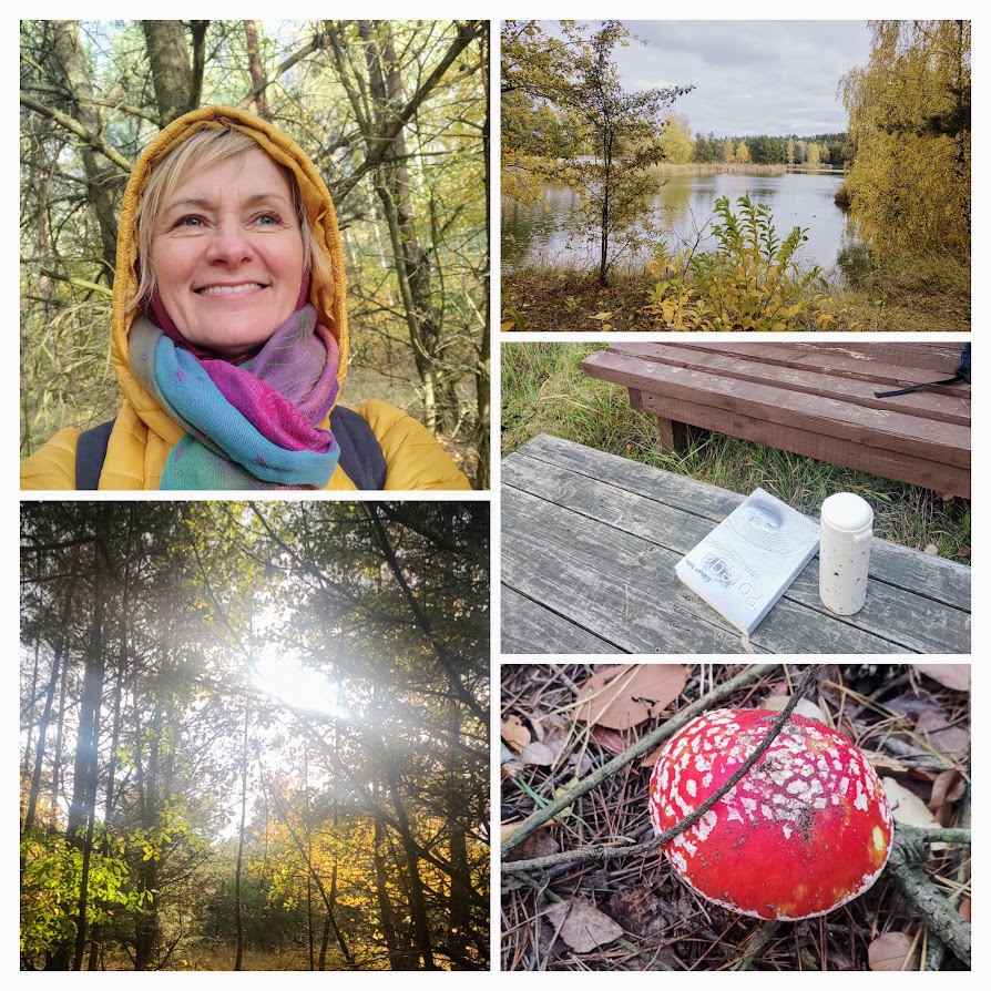 Światło na jesiennej&nbsp;ścieżce