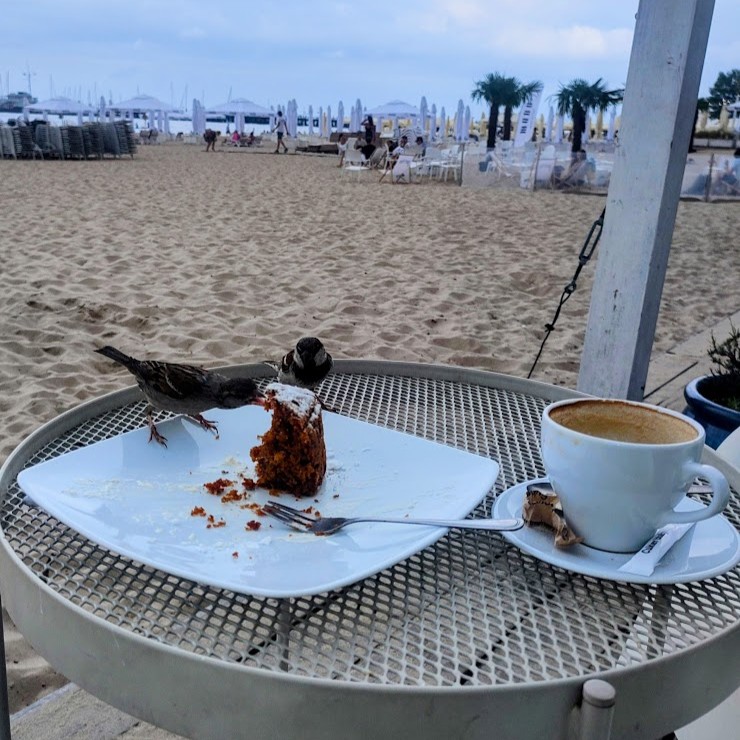 Goście bez zaproszenia