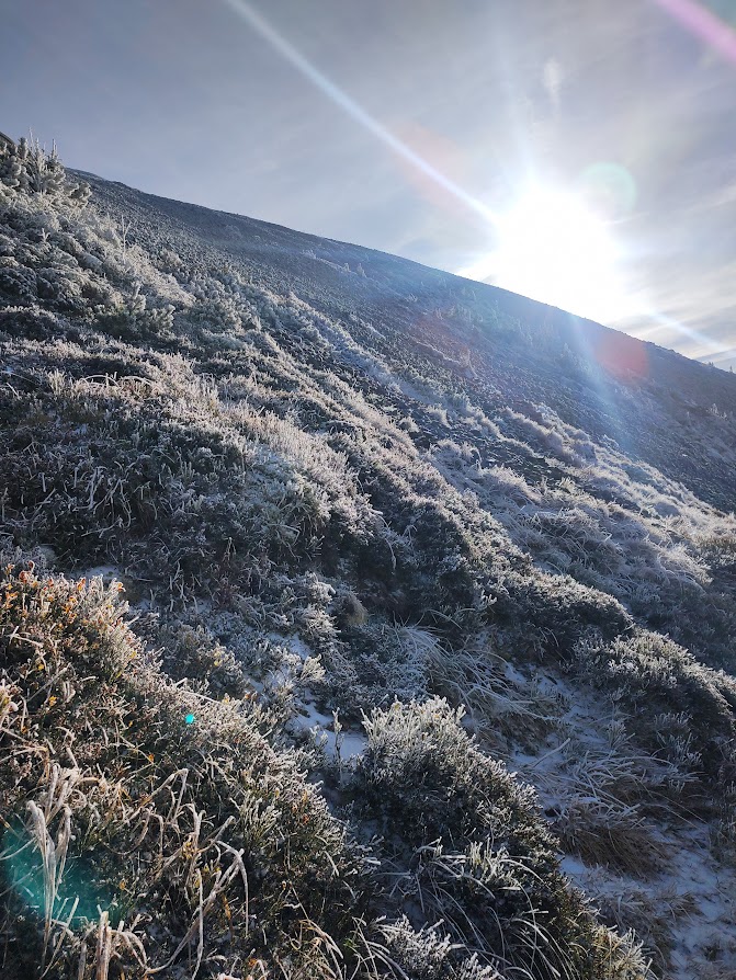 Cisza która oddycha