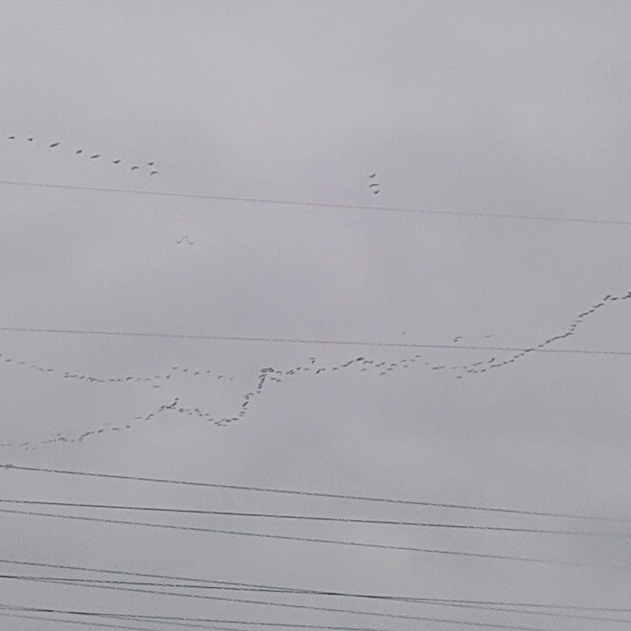 Kiedy idę i słyszę&nbsp;siebie