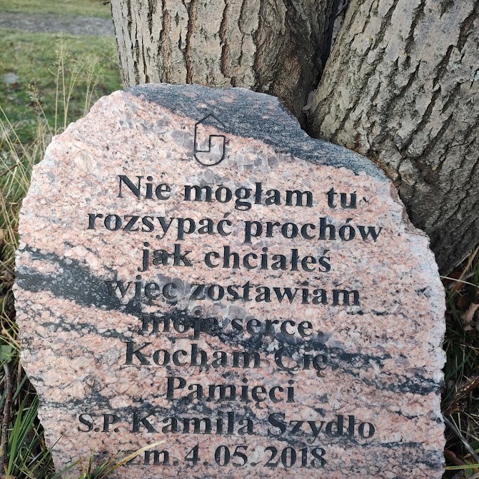 Kamień pod dwoma drzewami.

Nie znam historii tego miejsca – znam tylko poruszenie, które&nbsp;zostawia.
