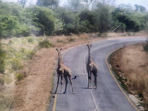 Bostwana- podróż która-otworzyła moje&nbsp;serce