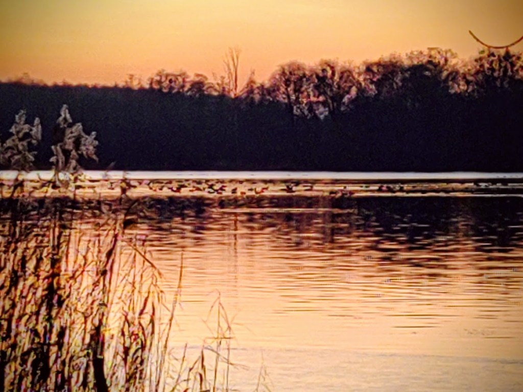Nad jeziorem gdzie ptaki nie muszą&nbsp;wiedzieć